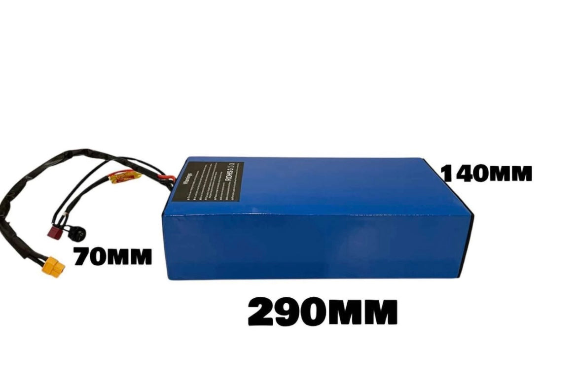 48v 18ah Bare Battery
