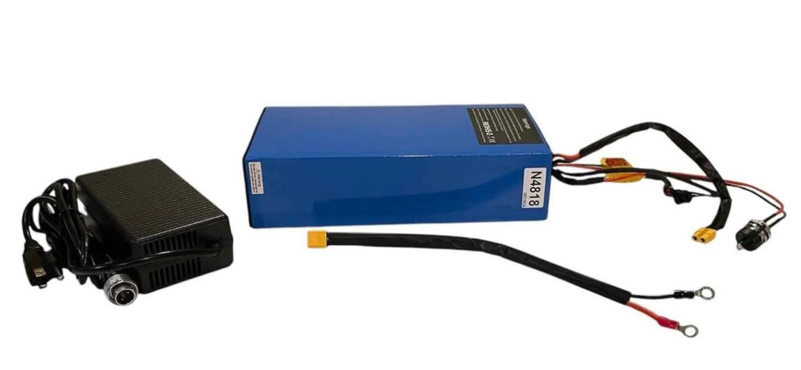 48v 18ah Bare Battery
